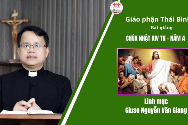 Bài Giảng Chúa Nhật XIV TN - Năm A l Linh mục Giuse Nguyễn Văn Giang l Giáo Phận Thái Bình