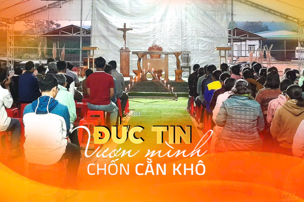 Đức tin vươn mình chốn cằn khô