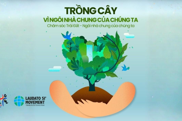 Trồng cây đức tin, vun xới niềm hy vọng