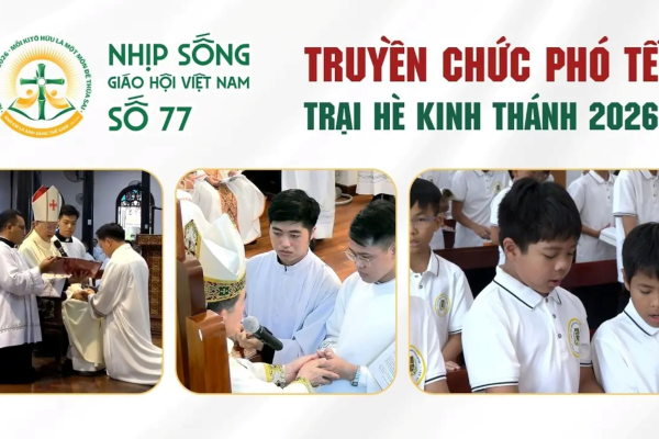 Truyền chức Phó tế - Trại hè Kinh Thánh 2026: Nhịp sống Giáo hội Việt Nam số 77 (01/6/2026 - 08/6/2026)
