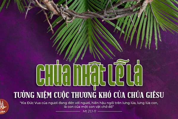 Chia sẻ Lời Chúa - Chúa Nhật Lễ Lá Năm A