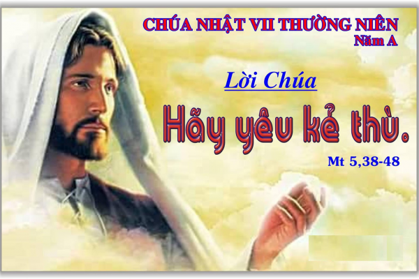 Học hỏi Phúc âm: Chúa nhật 7 Thường niên năm A