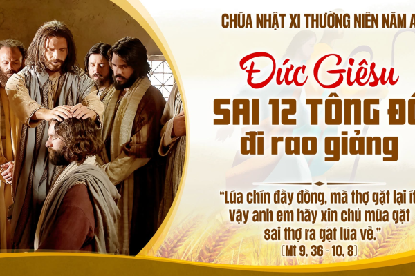 Chúa Nhật XI Thường Niên A - Lm Giuse Trần Xuân Chiêu