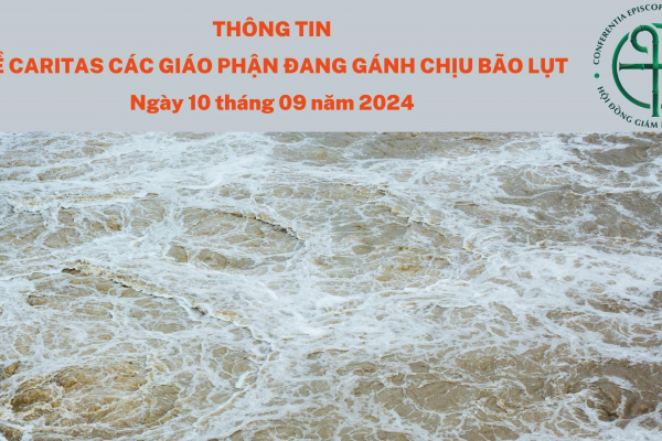 Thông tin về Caritas các giáo phận đang gánh chịu bão lụt