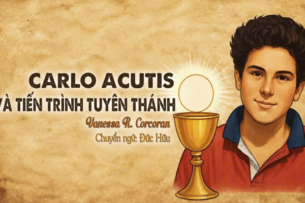 Carlo Acutis và Tiến Trình Tuyên Thánh
