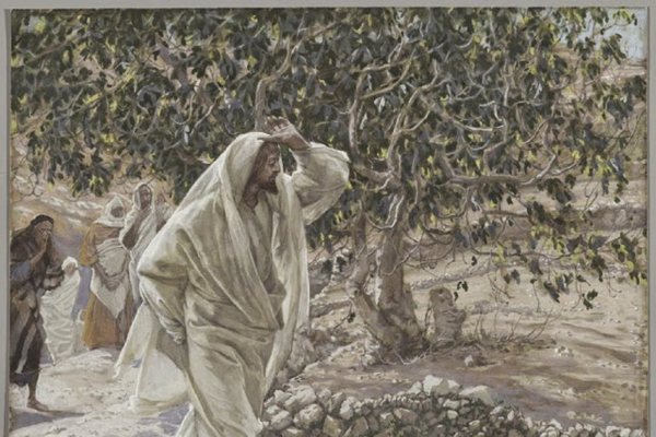 Thứ Bảy tuần 23 Thường niên năm I (Lc 6,43-49)
