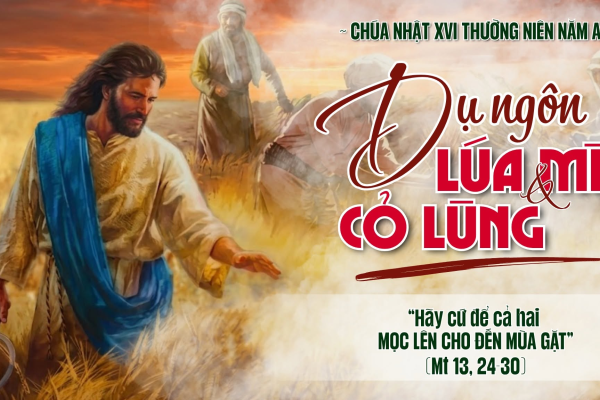 Chúa Nhật XVI Thường Niên A - Lm. Giuse M. Trần Xuân Chiêu
