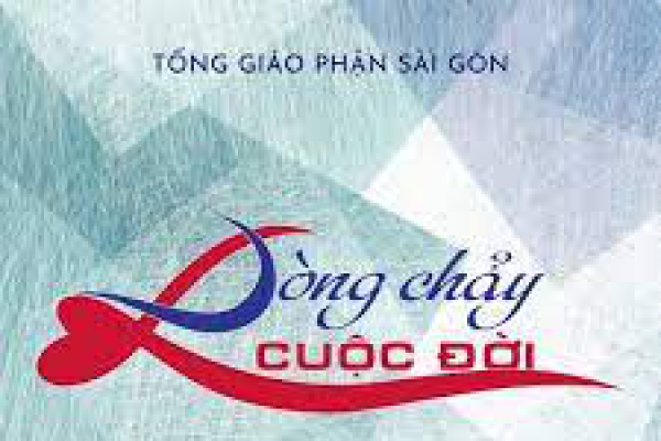 XÂM HẠI TRẺ EM - Lm GB Phương Đình Toại, Dòng Camilo chia sẻ