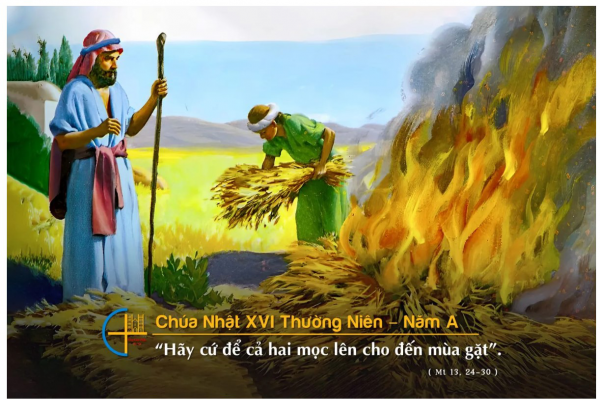 Pano Chúa Nhật XVI Thường Niên - Năm A