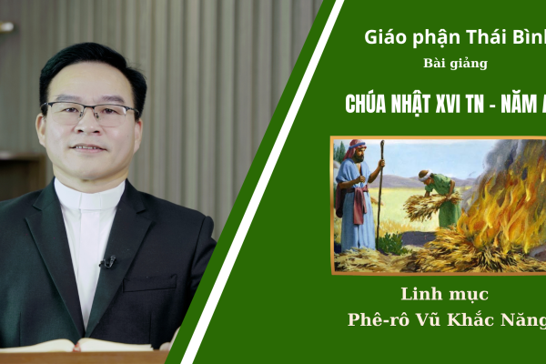 Bài Giảng Chúa Nhật XVI TN - Năm A/ Linh Mục Phê-rô Vũ Khắc Năng/ Giáo Phận Thái Bình