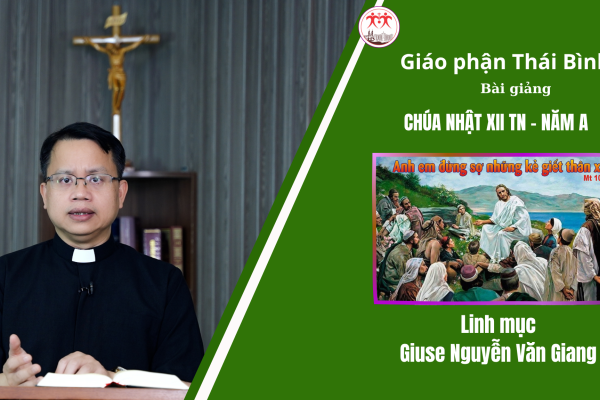 Bài Giảng Chúa Nhật XII TN - Năm A/ Linh mục Giuse Nguyễn Văn Giang/ Giáo Phận Thái Bình