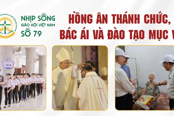 Hồng ân thánh chức, bác ái và đào tạo mục vụ: Nhịp sống Giáo hội Việt Nam số 79 (16/5/2026 - 22/6/2026)