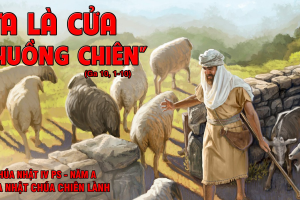 Chúa nhật 4 Phục sinh năm A - Chúa nhật Chúa chiên lành - Lm. Giuse Trần Xuân Chiêu